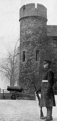 Sentry at the Tower